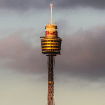 Is 500 Mbps Enough for Business? Real-World Use Cases for Growing Teams